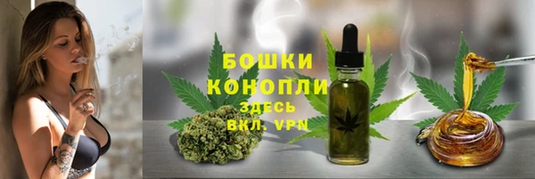 прущие грибы Гусь-Хрустальный