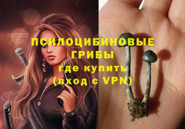 прущие грибы Гусь-Хрустальный
