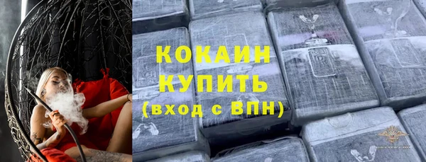 прущие грибы Гусь-Хрустальный