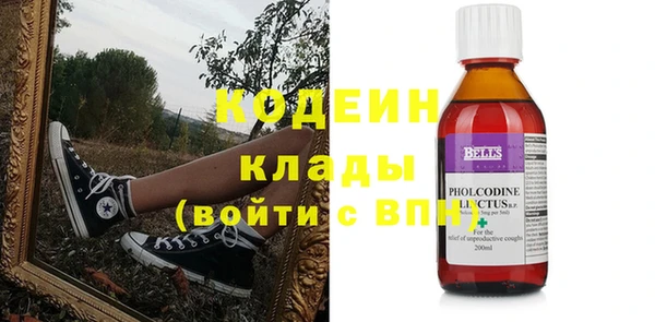 прущие грибы Гусь-Хрустальный