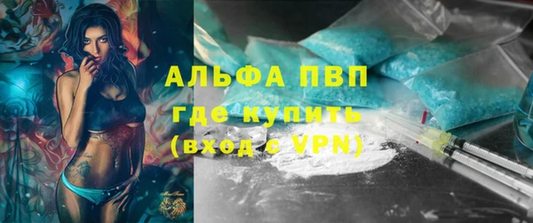 прущие грибы Гусь-Хрустальный