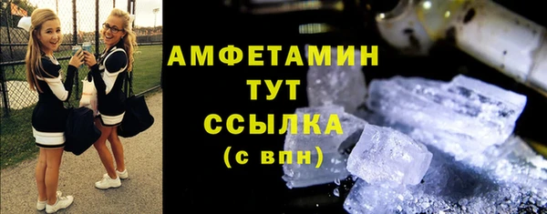 прущие грибы Гусь-Хрустальный