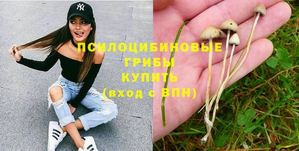 прущая мука Гусев