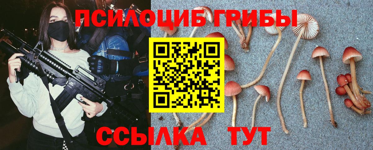 Псилоцибиновые грибы Cubensis Мценск
