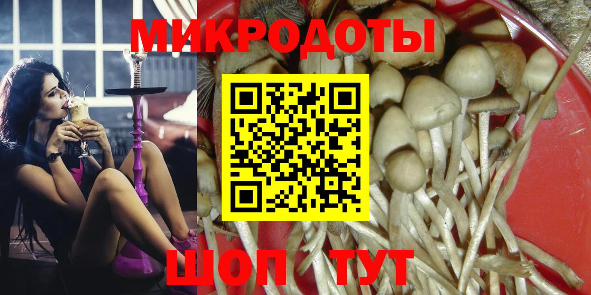 Псилоцибиновые грибы Psilocybine cubensis  Вход с VPN  Мценск 